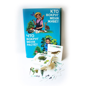 НоменклатураПрисоединенныеФайлы