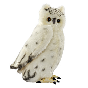 НоменклатураПрисоединенныеФайлы