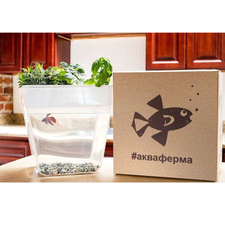 акваферма (6)