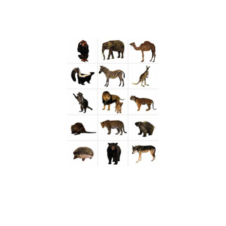 ДИКИЕ ЖИВОТНЫЕ